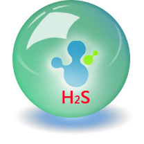 硫化氫標準氣（H2S）